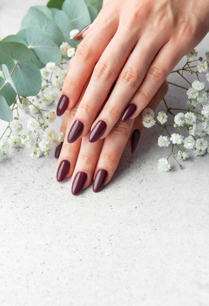 istock Elegant manicure with deep burgundy nails surrounded by delicate white flowers on a soft surface 2180507100