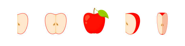 istock Apple fruit vector set. Isolated apple sign. Juicy ripe organic fruit illustration. 2180508287