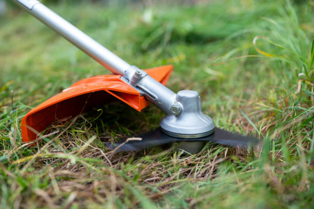 istock Photo in action of working trimmer cutting grass 2180509678