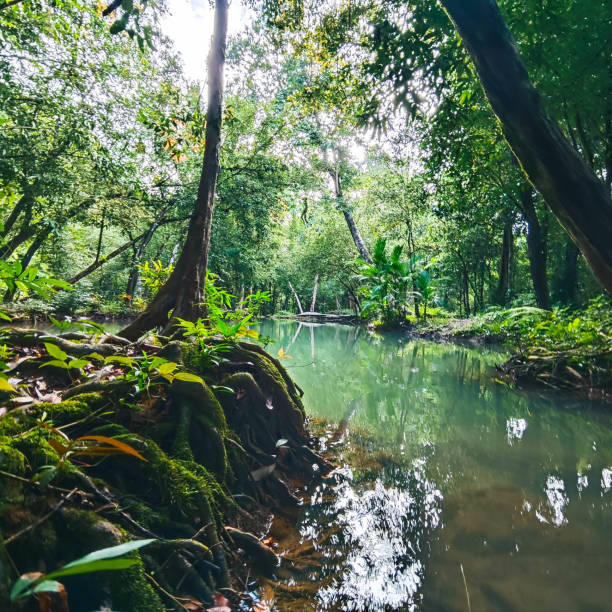 The pristine nature at Si Khit Waterfall National Park, Thailand