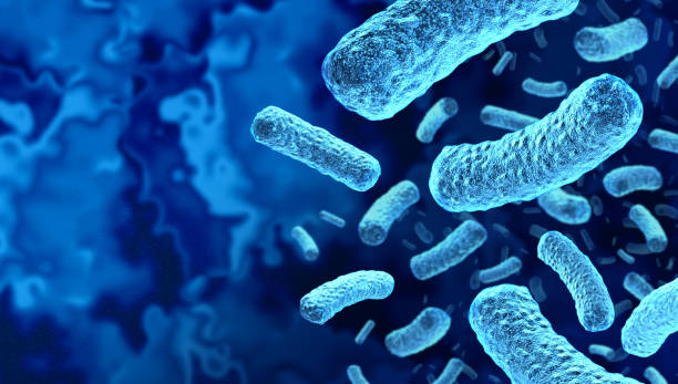 istock Listeria Infection 2180526255