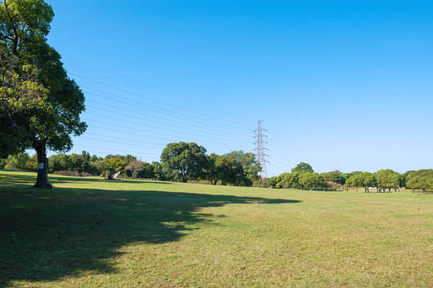Daisen Park in Sakai City