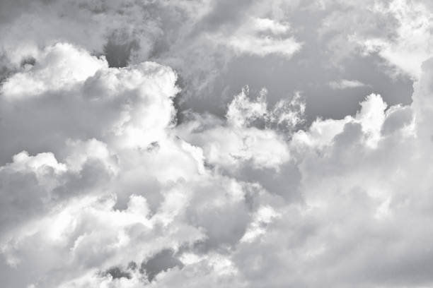 Dramatic black and white cloudscape featuring fluffy cumulus clouds with varying shades of grey