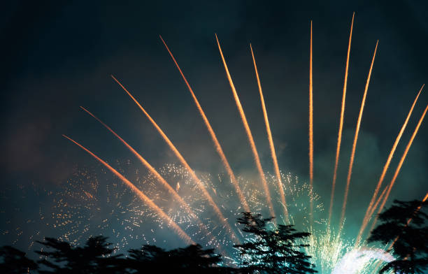Golden fireworks bloom on the dark sky