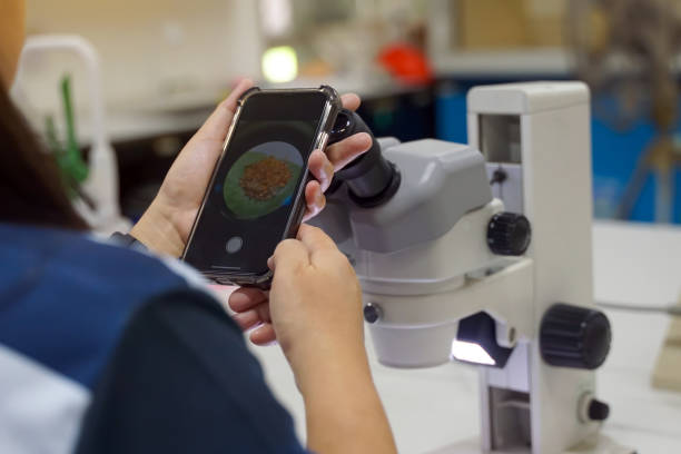 istock Researchers took pictures through a microscope with a cell phone camera 2180538145