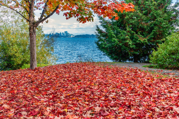 istock Lake Autumn Leaves 2180542939