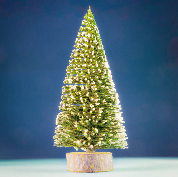 A tiny model fir tree with snow on the branches, against a dark blue background..