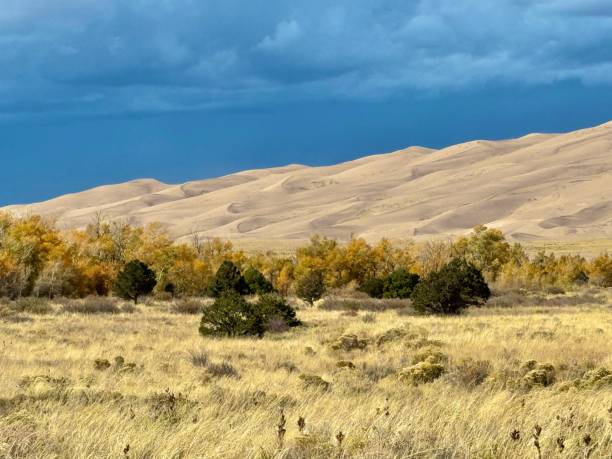 istock Great Sand Dunes National Park 2180546816