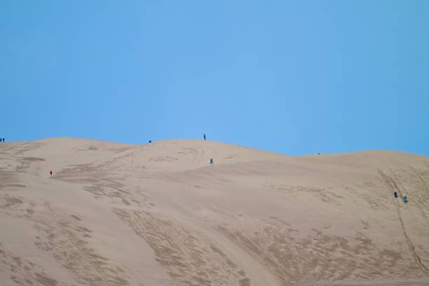 Tallest dunes in North America of grasslands, wetlands, forests, and tundra.