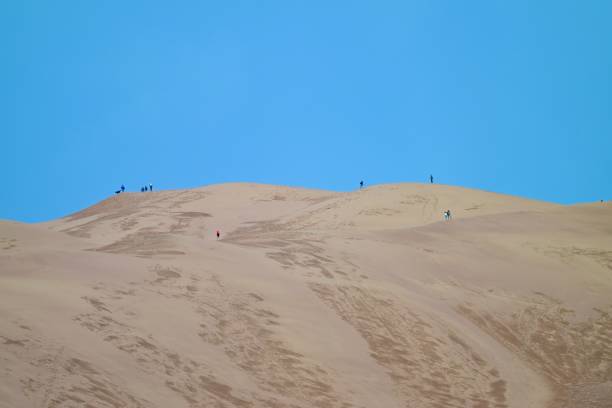Tallest dunes in North America of grasslands, wetlands, forests, and tundra.