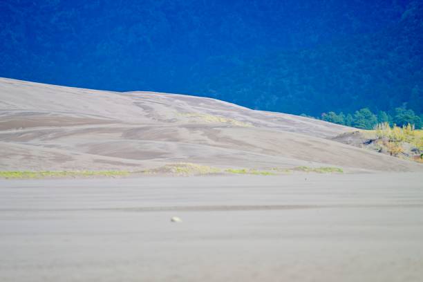 Tallest dunes in North America of grasslands, wetlands, forests, and tundra.