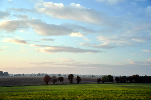 Landscape with Meadow, Fields and Trees in the Evening during Autumn, Poland