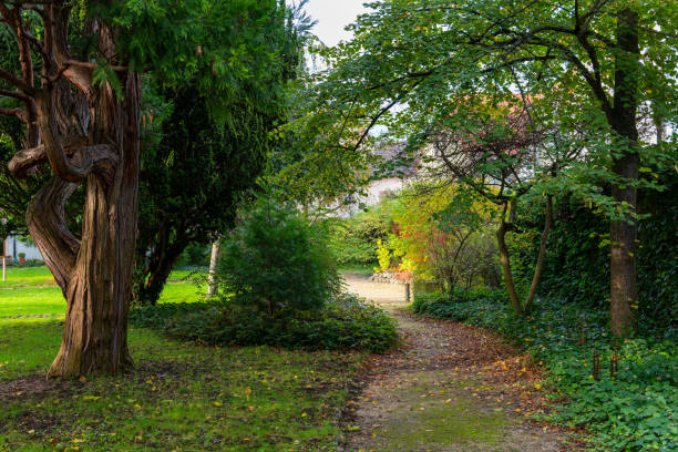 istock A path through a lush green garden in the fall 2180560221