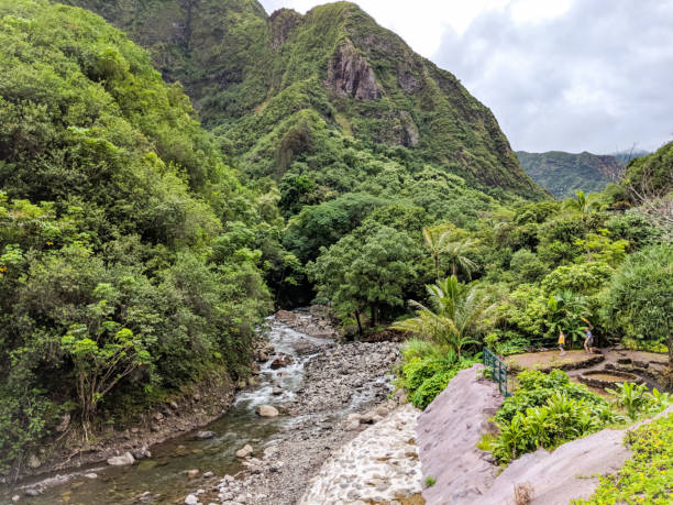 istock Iao Valley State Monument in Maui Kauai Hawaii 2180562033