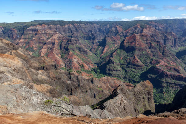 istock waimea canyon, kauai, hawaii islands 2180563254