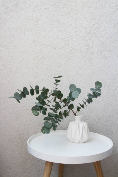 istock Eucalyptus branch in the white vase 2180566256