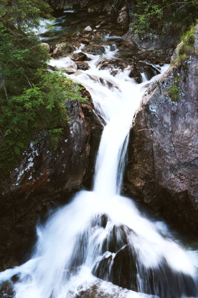 A stunning waterfall cascading down rocky cliffs in a lush forested area. The water flows powerfully over jagged rocks, a smooth, white stream. The dark stones and green foliage surrounding it.