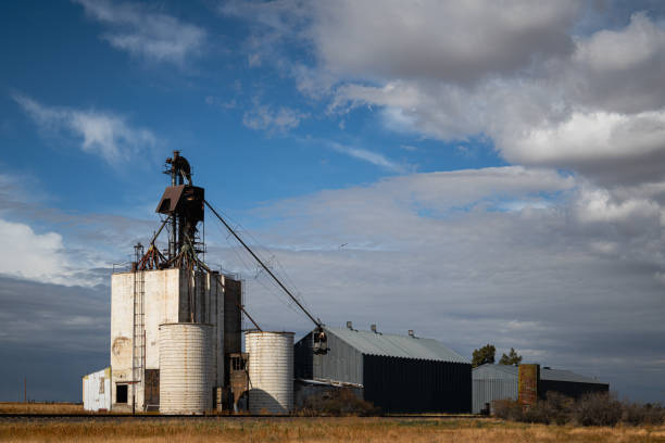 Grain Silo with railroad tracks and dramatic clouds in morning light.