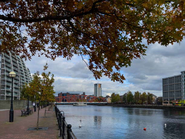 istock Street Lamps and Trees 2180591643
