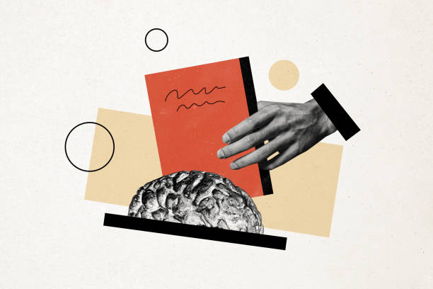 istock Composite photo collage of hands hold book study brain cortex education anatomy encyclopedia knowledge learn isolated on painted background 2180597101