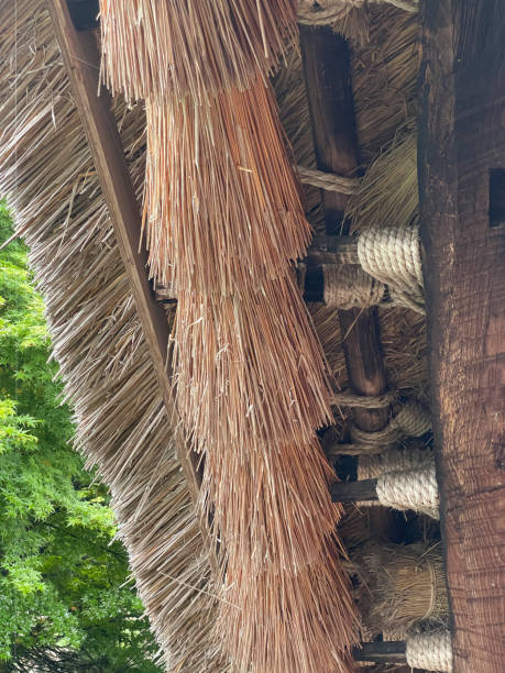 istock Thatched roof of Shirakawa-go 2180602273