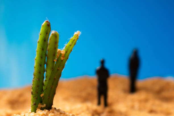 Desiertos