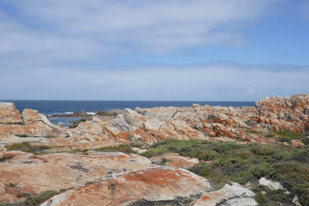 St. Francis Bay is a rustic fishing village and is popular for surfing at Seal beach.