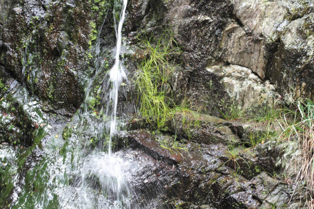 Tsitsikamma National Park is a protected area on the Garden route. It is well known for its indigenous forests and dramatic coastline.