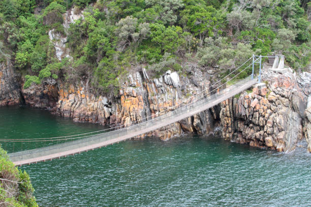 istock Tsitsikamma National Park, South Africa 2180607015