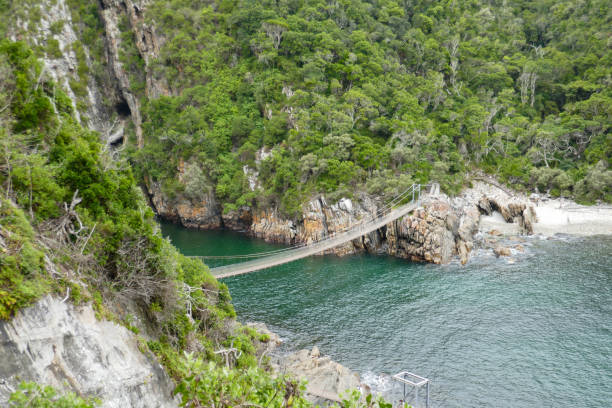istock Tsitsikamma National Park, South Africa 2180607016