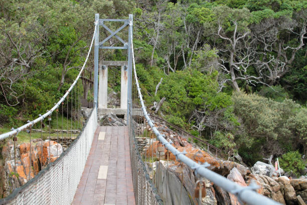 Tsitsikamma National Park is a protected area on the Garden route. It is well known for its indigenous forests and dramatic coastline.