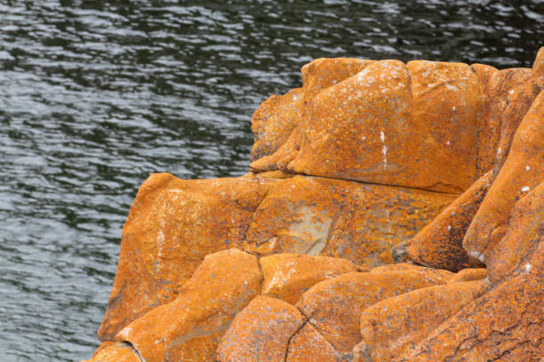 Tsitsikamma National Park is a protected area on the Garden route. It is well known for its indigenous forests and dramatic coastline.