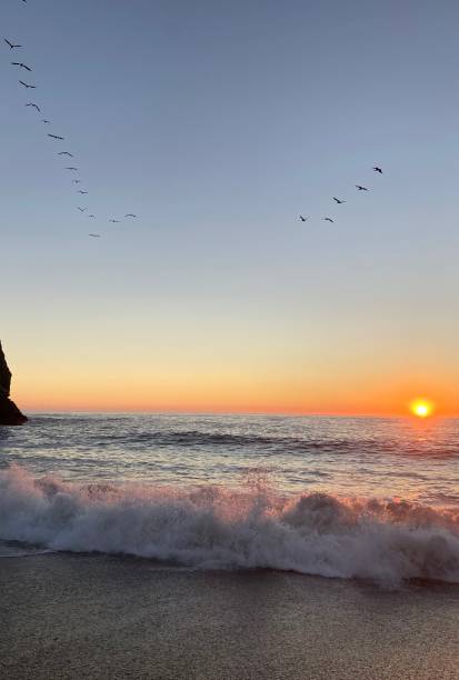 istock Sunset on the California Shore 2180613345