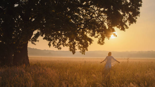 istock Serene Sunset Silhouette - Female Figure Beneath Ancient Oak 2180615470