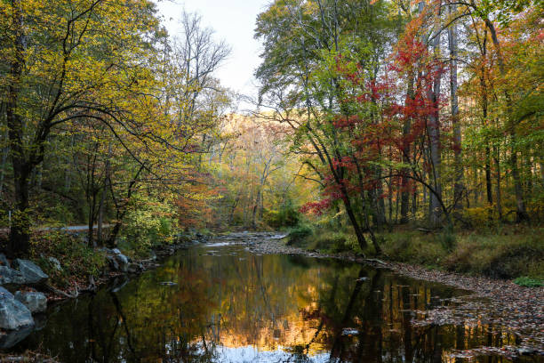Ridley Creek reflects colorful leaves in fall, Media, Pennsylvania