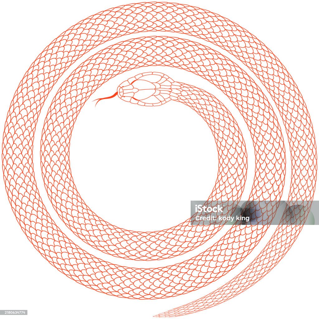 Snake Like Line Pattern Cartoon Snake Pattern With Red Line Stroke Stock Illustration ...
