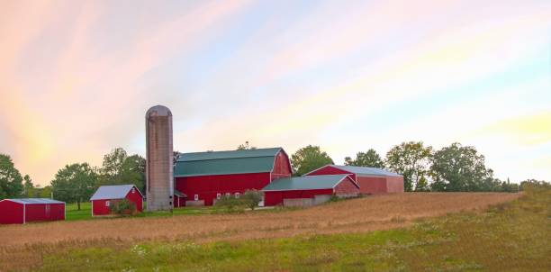istock Red barn and silo at sunrise- Central Wisconsin 2180634888