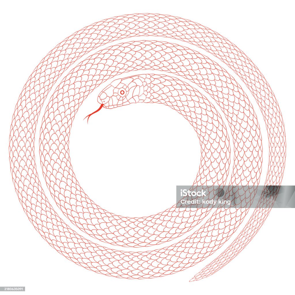 Snake Line Patterns Cartoon Snake Pattern With Red Line Stroke Stock Illustration ...