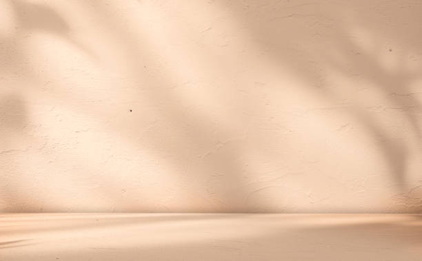 istock Empty beige background with sunlight superimposed shadow leaves on the wall. autumn background template for product presentation concept 2180646241
