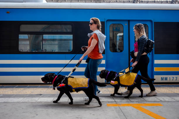 Blind friends travel by train with their guide dogs in Buenos Aires