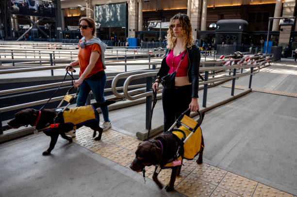 Blind friends travel by train with their guide dogs in Buenos Aires