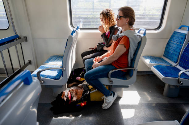 istock Two blind girls traveling by train 2180648247