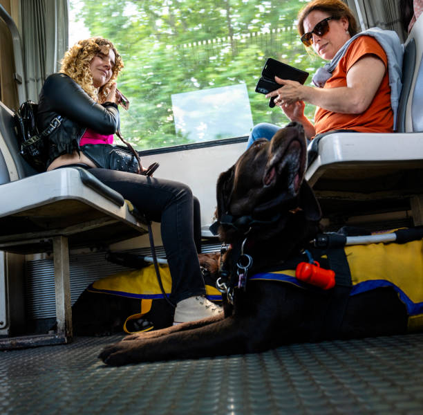 istock Two blind girls traveling by train 2180648343