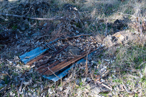 istock Corrugated iron left to rust in the Australian bush 2180648374
