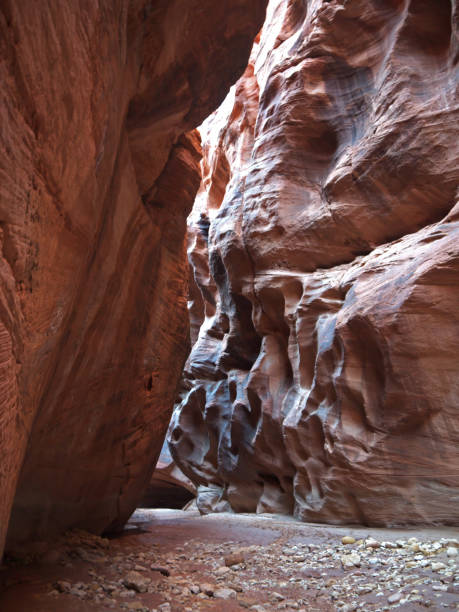 istock Hiking in Buckskin Gulch 2180654634