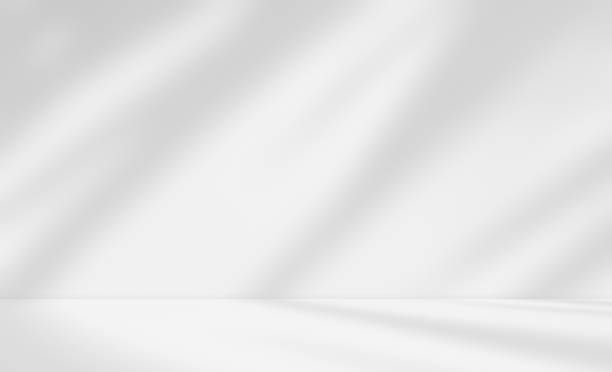 istock Empty white room studio with leaves shadow overlay effect for product presentation display. 2180661637