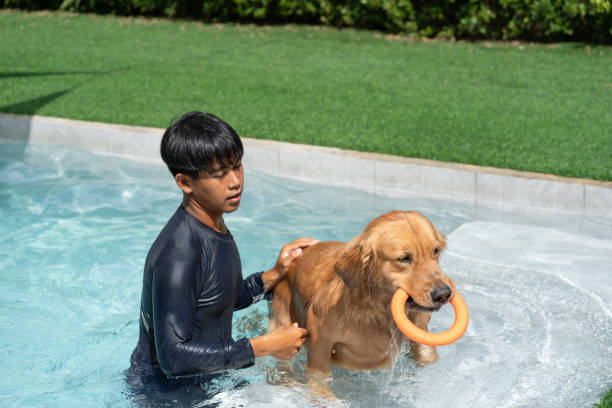 istock Golden retriever with trainer in swimming pool 2180666034