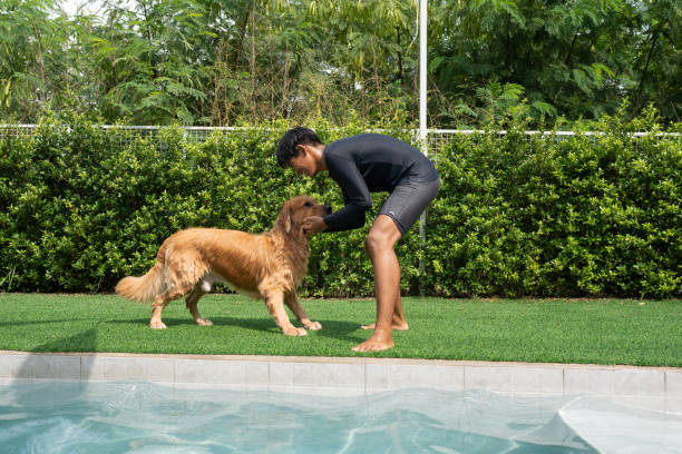 istock Golden retriever with trainer in swimming pool 2180666042