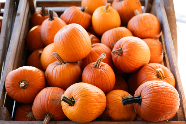 istock Autumn pumpkins in a crate 2180668664