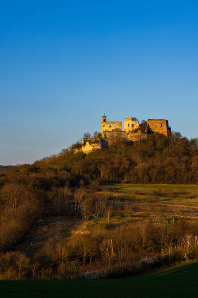 istock Falkenstein ruins and town with vineyard, Lower Austria, Austria 2180669270